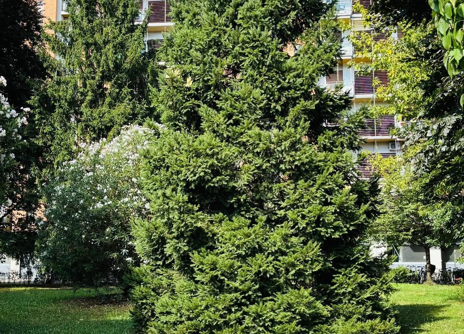 Vittoria Citylife Apartment Милан