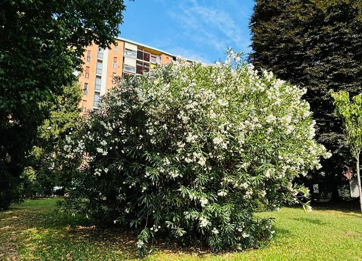 Vittoria Citylife Apartment Милан Италия